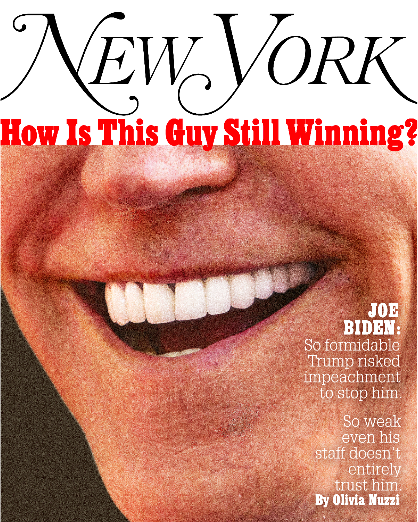 NYMag tweet picture