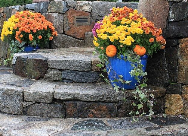 janjohnsen23's tweet photo. Here is from a landscape project we did- walls, steps - Johnsen Landscapes & Pools - don't forget the baby pumpkins in the fall planter....
#landscapedesign #stonework #fallgarden #blueplanter #landscaping #Gardentopia #johnsenlandscapes #janjohnsen https://t.co/yxbt3T48Un