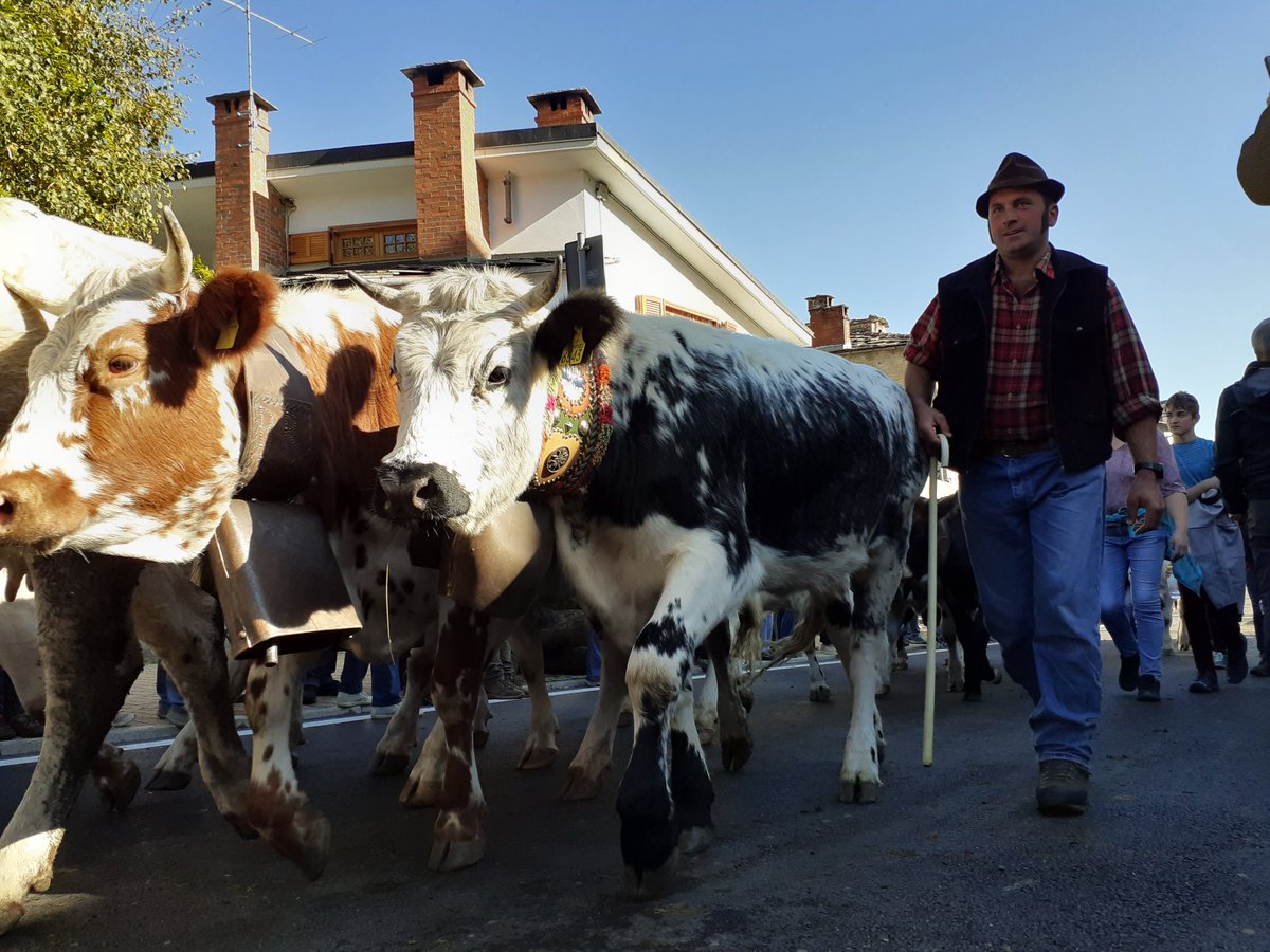 At the transumance autumn fair with the Comune di Bobbio Pellice 👍🐄👍🐄👍
#dementiafriendlyvalpellice
#diaconiavaldese
#rifugiorecarloalberto

Otherwise known as "Miss Bovine Bobbio" <a href="/Innov_Dementia/">Innovations in Dementia</a> <a href="/WendyPMitchell/">DrDr (😊)Wendy Mitchell</a> @sarah_mitche11 😜😉😜