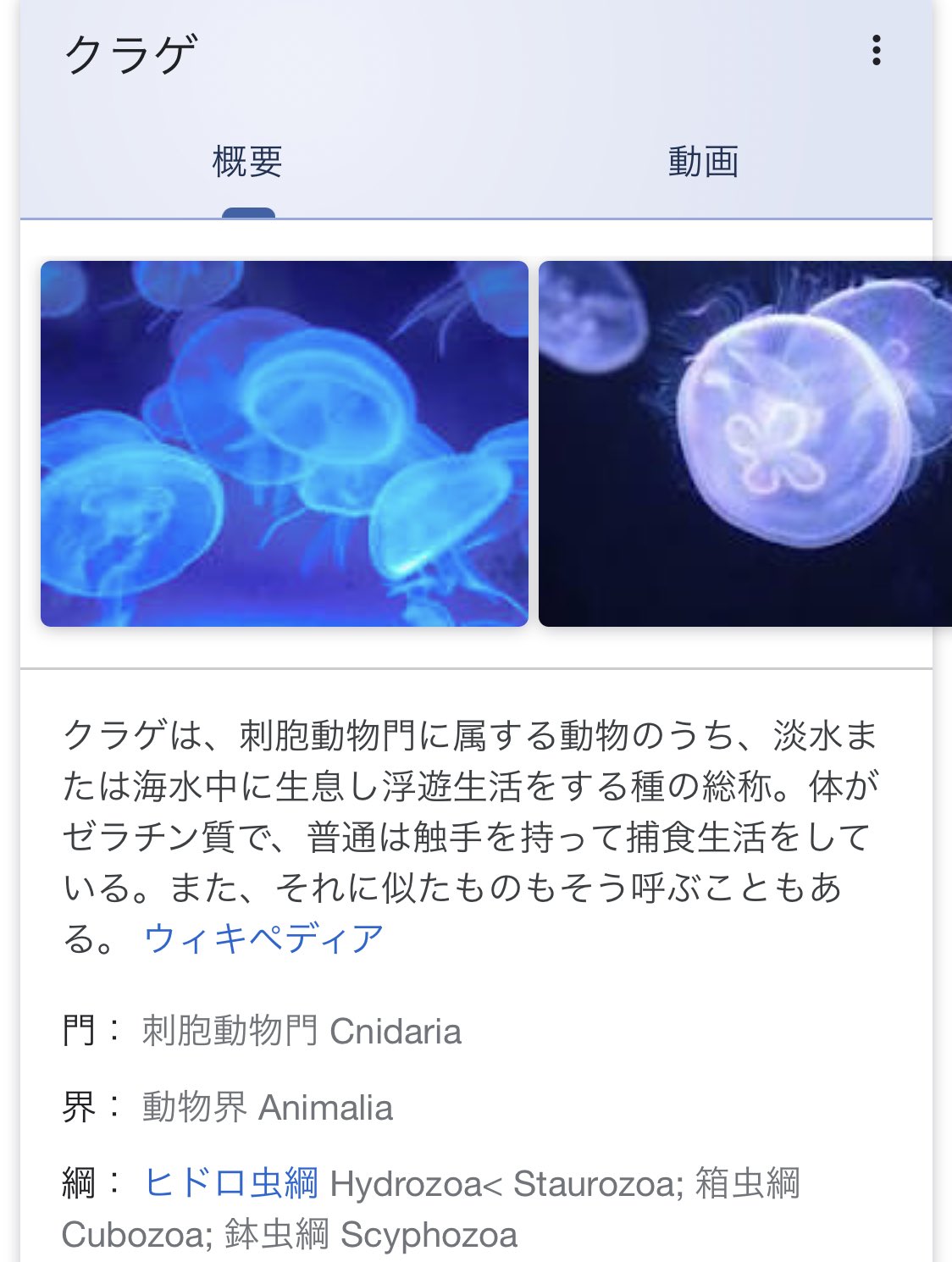 Kppsan え クラゲって軟体動物じゃなかったのか 刺胞動物 T Co Xjobq0ze2t Twitter