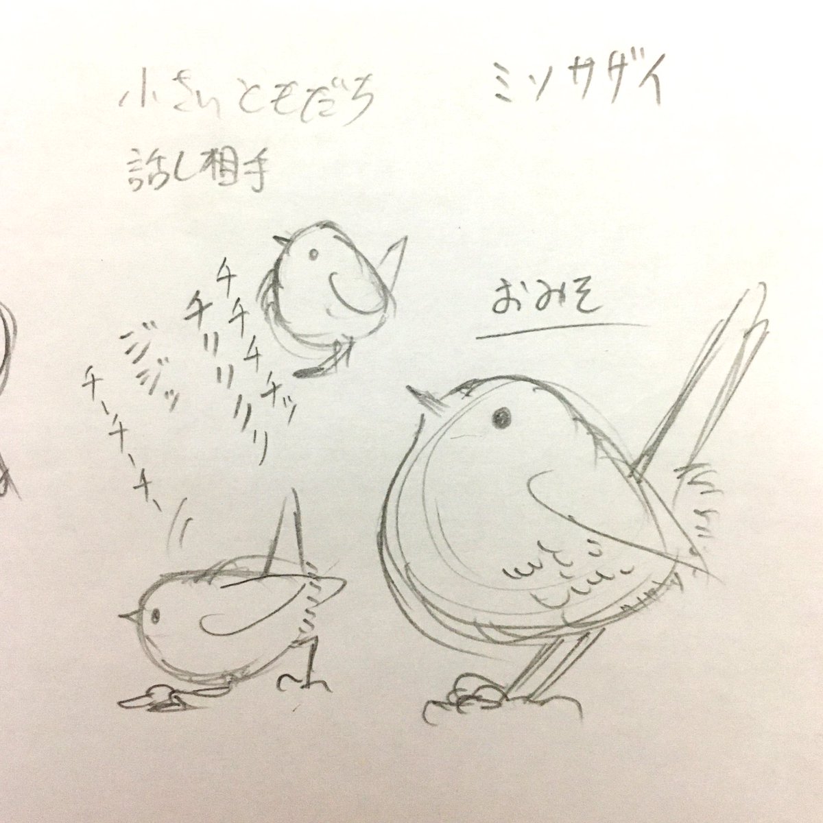 裏話⑤
「おみそ」はミソサザイという実際に存在する野鳥がモデルです。
シムの相棒として登場しましたが、小さいながらもかなり重要な役を担ってくれています。
本編中、背景など至るところに登場しているので細かいところまでよ〜〜く探してみてください! 