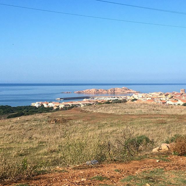 dccp2's tweet photo. Buongiorno!!!! ☀️ .

#buongiorno #goodmorning #buenosdias #bomdia #bonjour #gutenmorgen 
#dccp #dccpisolarossa #divingcentercostaparadiso #sardegna #sardinia #instasardegna #igersardegna #ilovemyjob #isolarossa #lifestyle #welcomecostarossa https://t.co/imX66SwMgg