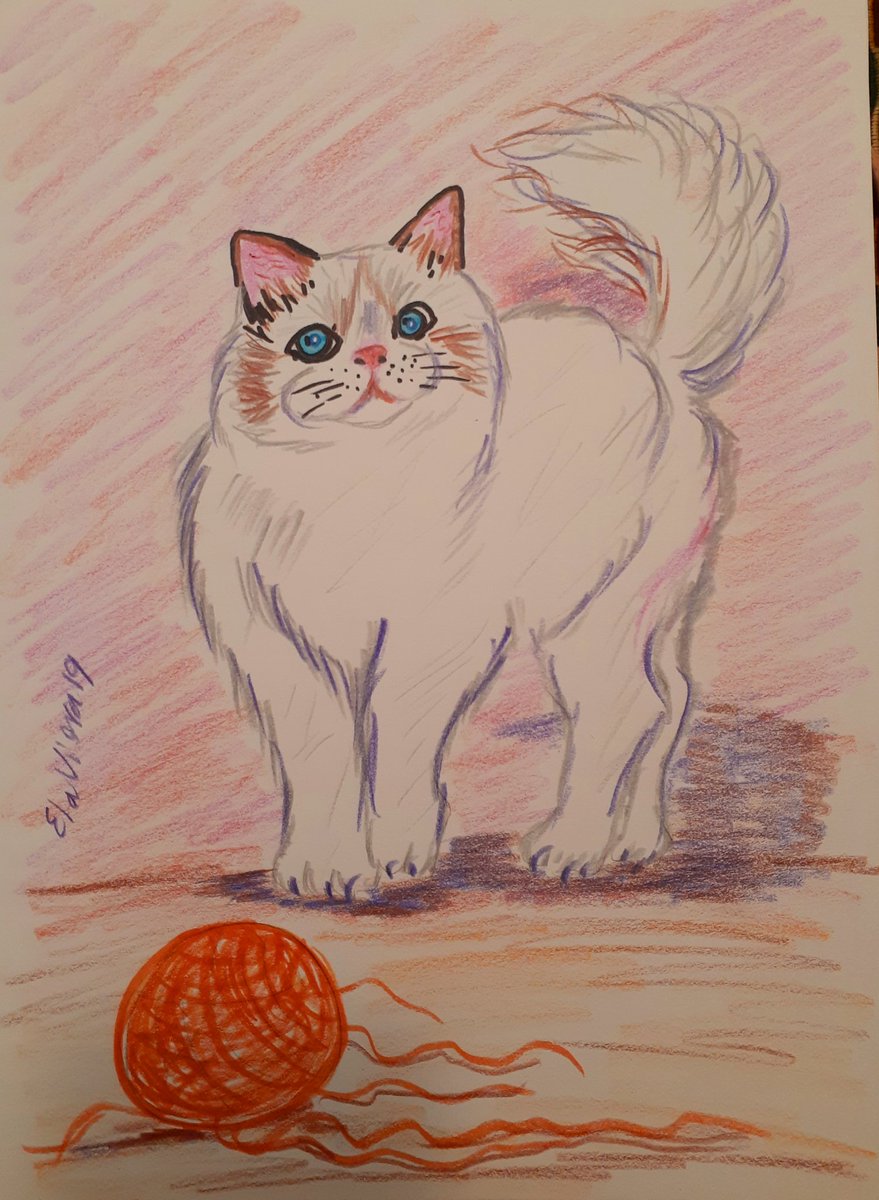 elavieramedina's tweet photo. @MattStarrFineA1 day 27 Drawing challenge, " furry friend" π πΈ #mattstarr2019drawingchallenge #Color2019 #art #colors #drawings #illustration #markers https://t.co/TuGrdshzur