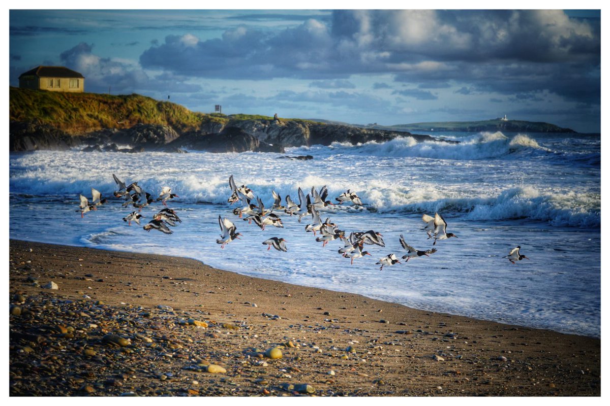 sinead_crowley's tweet photo. #Clonakilty #Inchydoney #LongStrand #Owenahincha #GalleyHead #Beaches #WestCork 
#BankHolidayWeekend #Sunshine 
#MyWildAtlanticWay #WildAtlanticWay #PureCork https://t.co/p9eXl1Ewlb