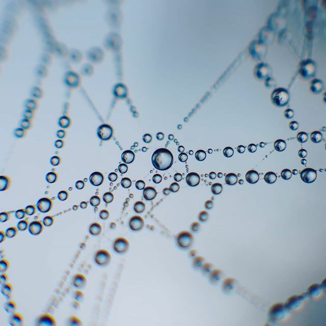 sszemtelen's tweet photo. Connections.
#mik #ikozosseg #hungary #instacool #instagood #instanature #instaminimal #nature #naturephotography #natureporn #macro #macroporn #picoftheday #f4f #sonycollective #sonyimages #sigma #agameoftones #loaded_lenses #ig_macro #rsa_vsco #rsa_out… https://t.co/n5qxsSDMmY https://t.co/37nYAS5VkP