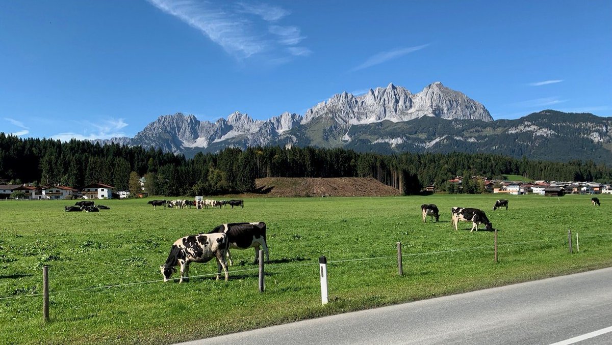 Freebie_box's tweet image. Fabelhafter Blick auf die Berge in Kitzbühel 😎😍 #kitzbühel #throwback #freebiebox #austria #österreich