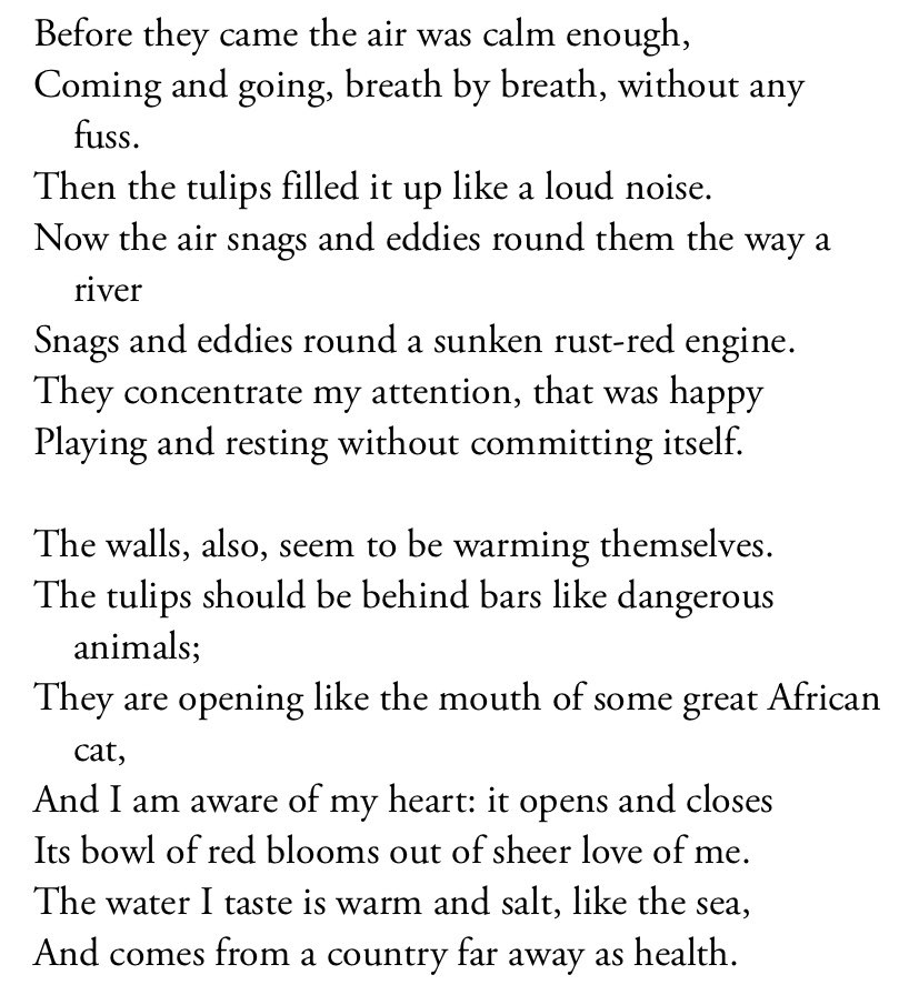Happy birthday Sylvia Plath 