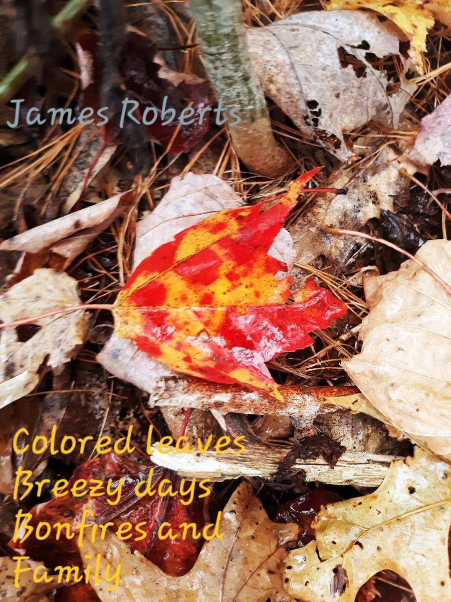 james_roberts69's tweet photo. Listening to the rain fall as I sip my coffee..knowing its  going to be another great day out.
#rainfalling #Fall2019 #autumnleaves #October #beautyinnature #GoodMorningWorld #coffeetime #naturephotography https://t.co/pTrdT8T4ZI