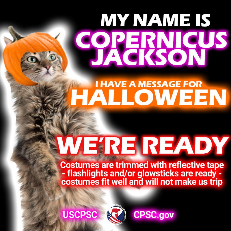 A cat named Copernicus Jackson. The text reads: my name is copernicus Jackson. I have a message for Halloween. We're ready. Costumes are trimmed with reflective tape. Flashlights have fresh batteries.