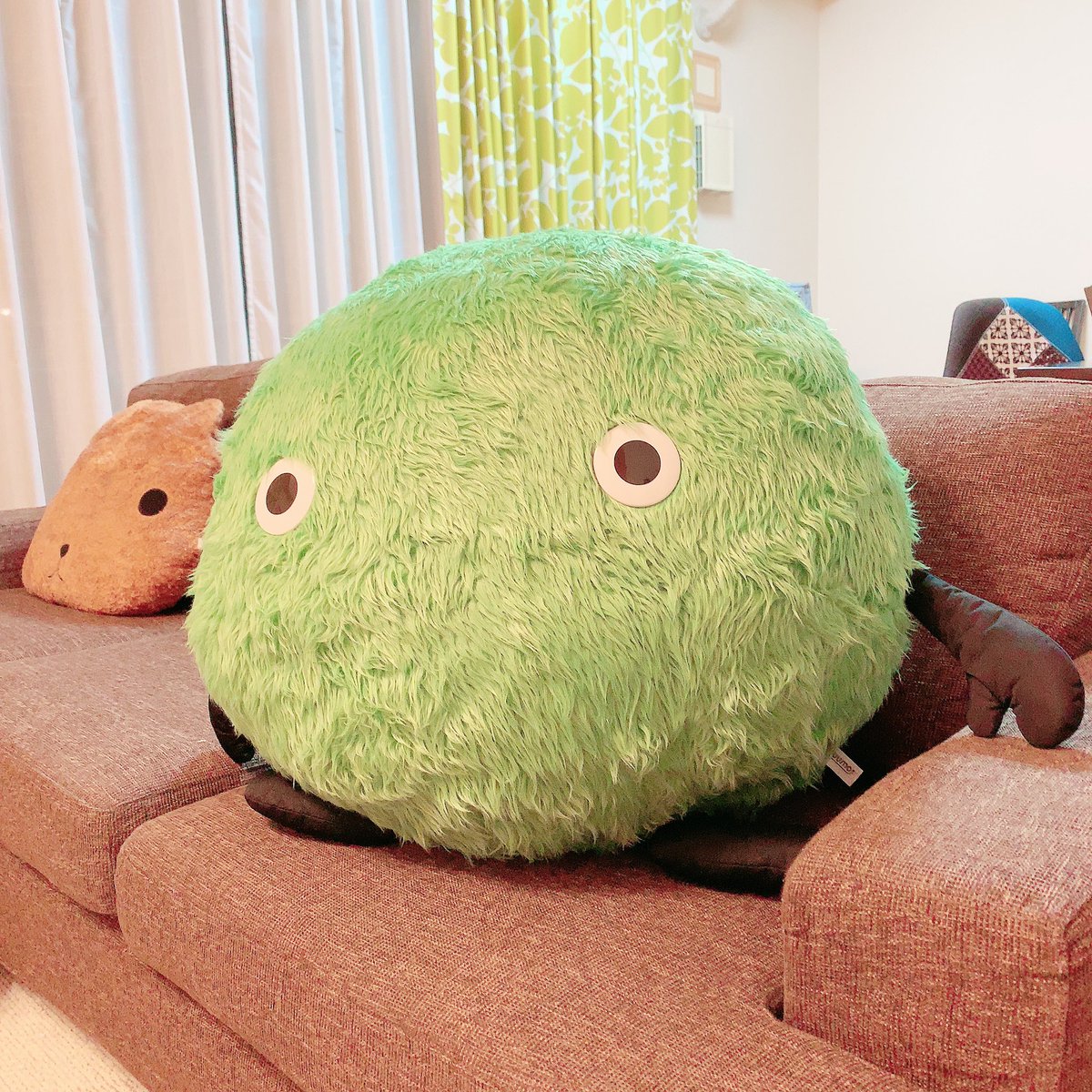 みさきち W در توییتر というわけで タイトートイズさんのプレゼント企画でスーモくんの巨大なぬいぐるみが当選しました でかいｗｗｗ