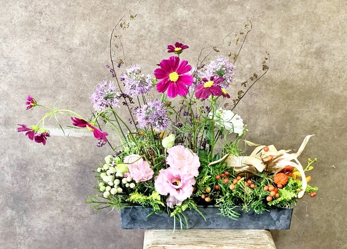 Cometzenith Twitter Search Twitter