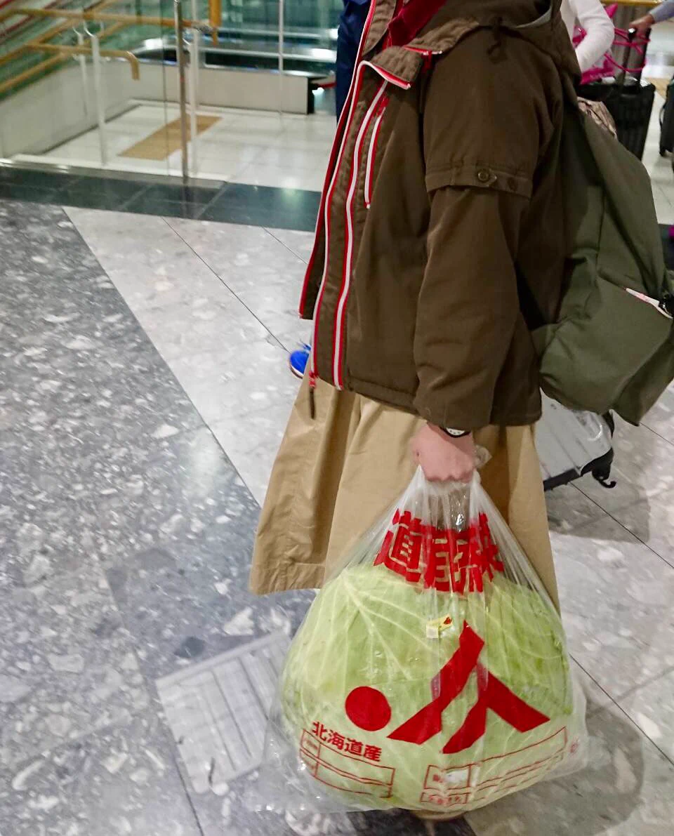 悪ノリでクソでかキャベツを購入して東京に持ち帰った結果？周りから好奇な目で見られるwww