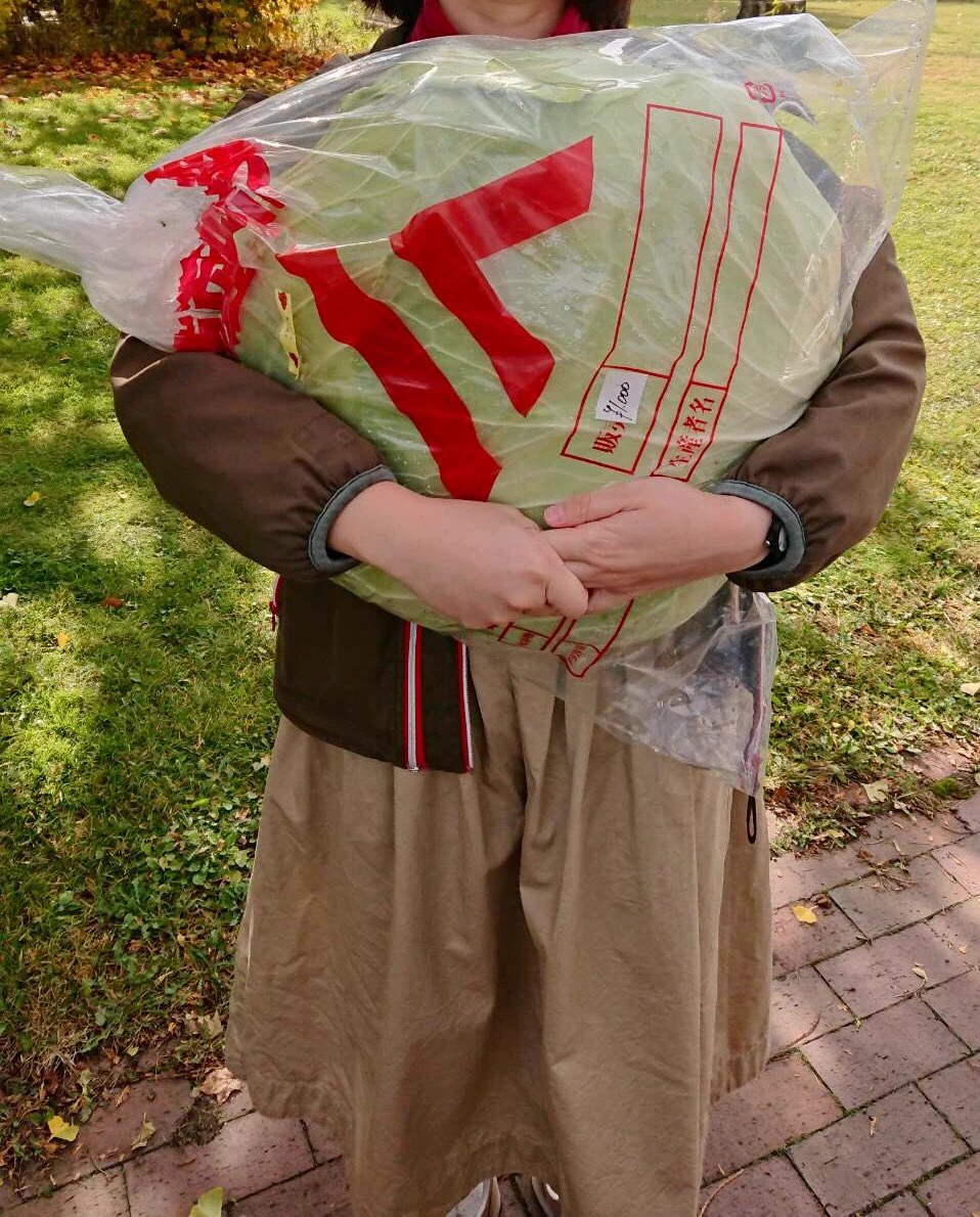 悪ノリでクソでかキャベツを購入して東京に持ち帰った結果？周りから好奇な目で見られるwww