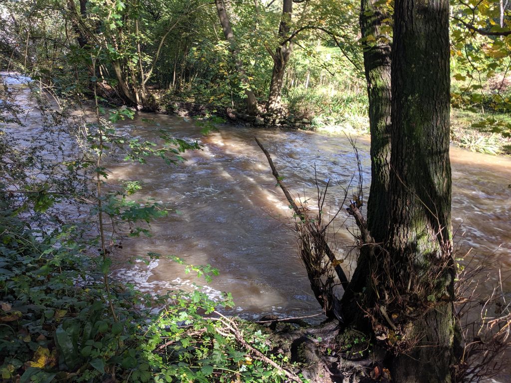 We have the power to solve flooding for good
However it won't be done with schemes or at margins (tho good)
It's the same root cause that's preventing drilling now and created drought issue 2018. Lack of infiltration
Only application of #soilhealth principles can deliver solution