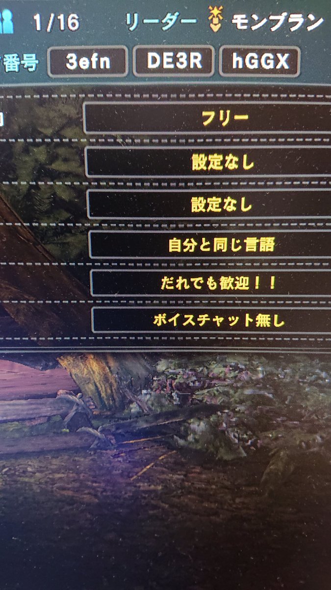 0:00頃まで
下位・上位・マスター何でも
装備・ＨＲ自由で。