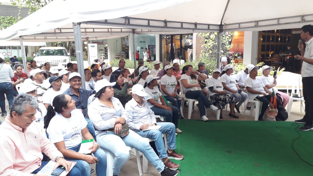 DagmaOficial's tweet photo. #CaliBio 2019 ha cumplido con la meta de orientar a la comunidad frente a las diversas actividades que se desarrollan en nuestra institución.🌿 https://t.co/cVsTm8gzDi