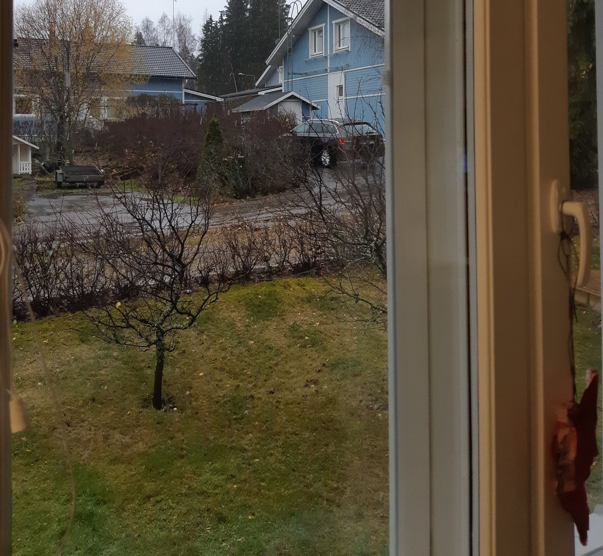 KatjaBackstrom's tweet image. "Kaisla mitä sataa ulkona, mitä?"

(Sataa isoja räntärättejä ja koko perhe on innoissaan)

"Linnun kakka" 

🤣 2v. ei selvästi muista viimetalvesta mitään 🤪