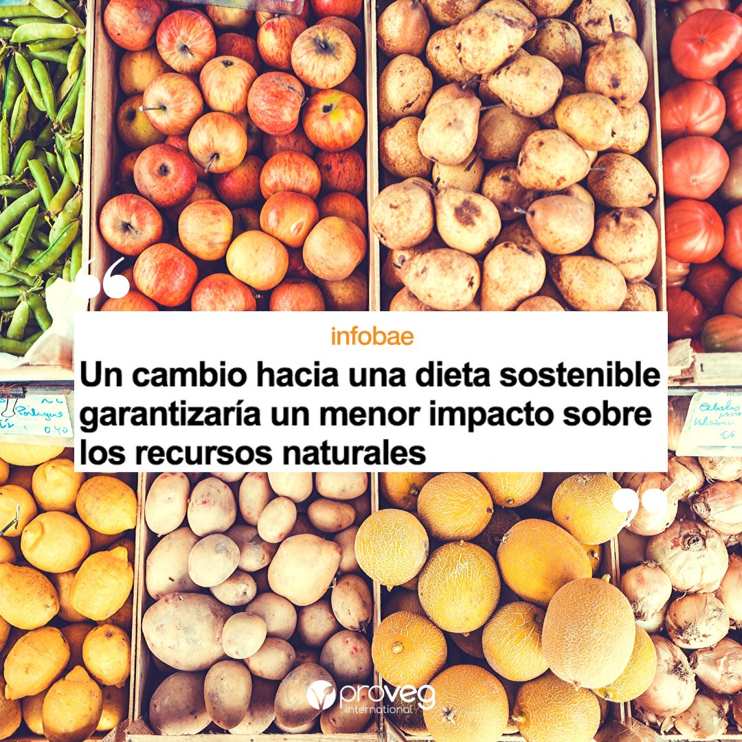 provegES's tweet image. Una dieta basada en plantas nos garantiza la disminución de nuestra huella de carbono, del consumo de agua y del uso del suelo. ¿Te apuntas? 🌱

infobae.com/tendencias/201…
#platbased #sostenibilidad #medioambiente