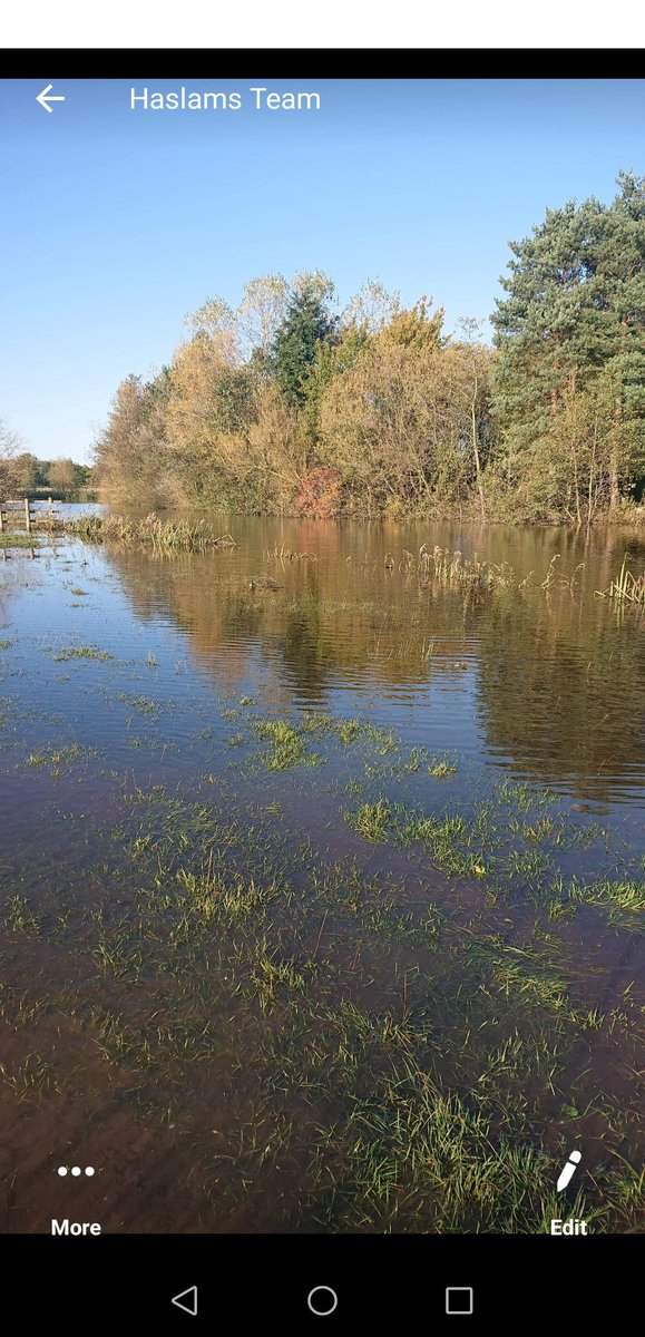 River has flooded my club lake