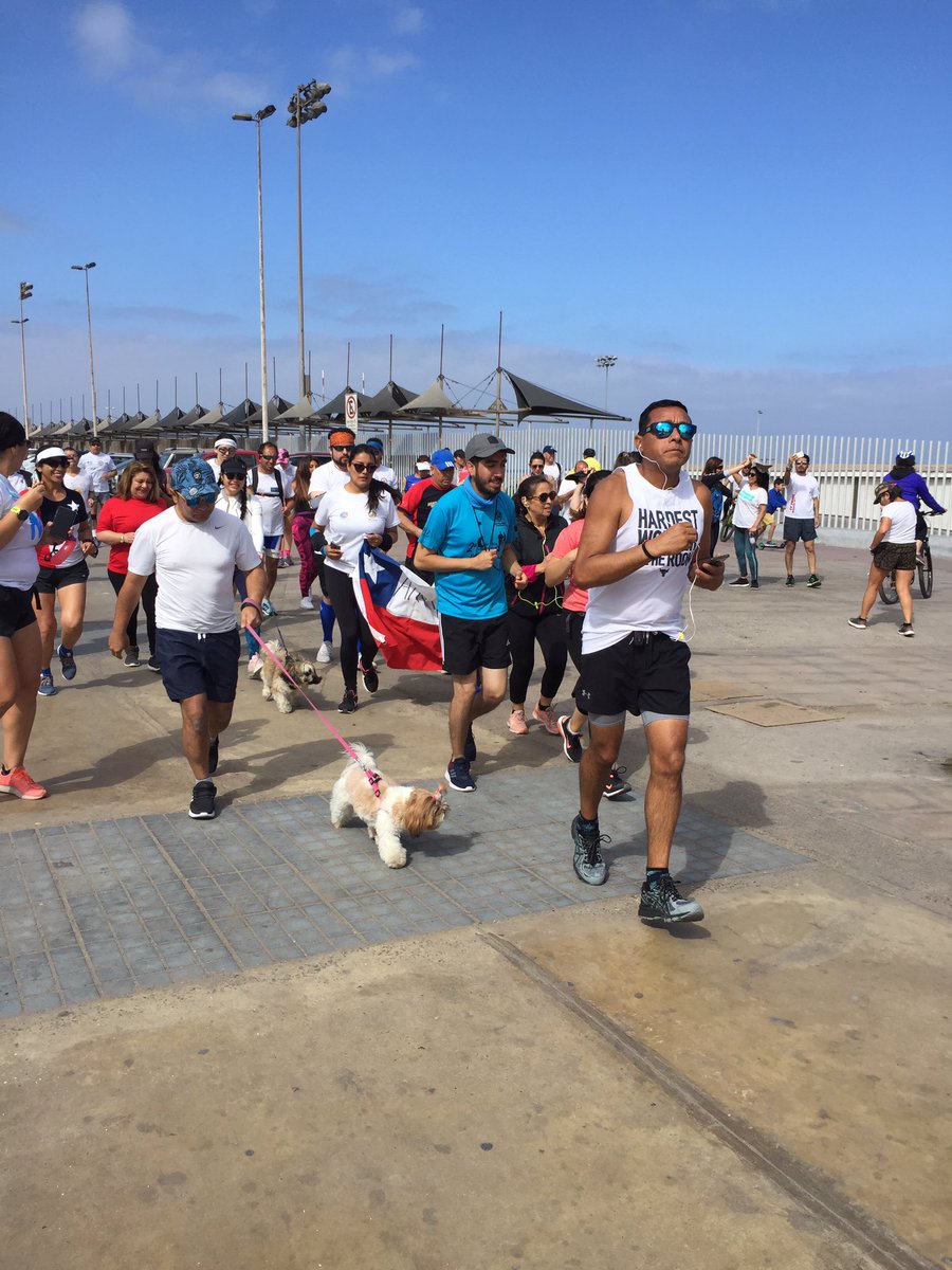 aftarunners's tweet photo. Los runners de antofagasta presentes en la  #corridaxlapaz por 🇨🇱🇨🇱 #Antofagasta https://t.co/fgs2YkOjrP