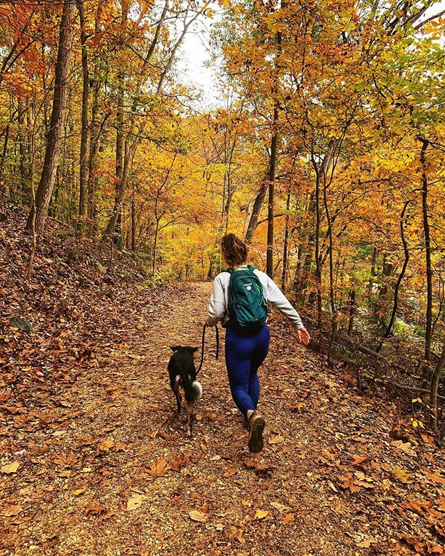 It’s the most wonderful time of the year: peak fall foliage in Virginia! I stayed close to home this weekend &amp; hiked trails near @greatfallsparkvanps for these colors. I’m hoping the leaves are still vibrant next weekend while I’m in @shenandoahnps! Save… ift.tt/2BOhxVi