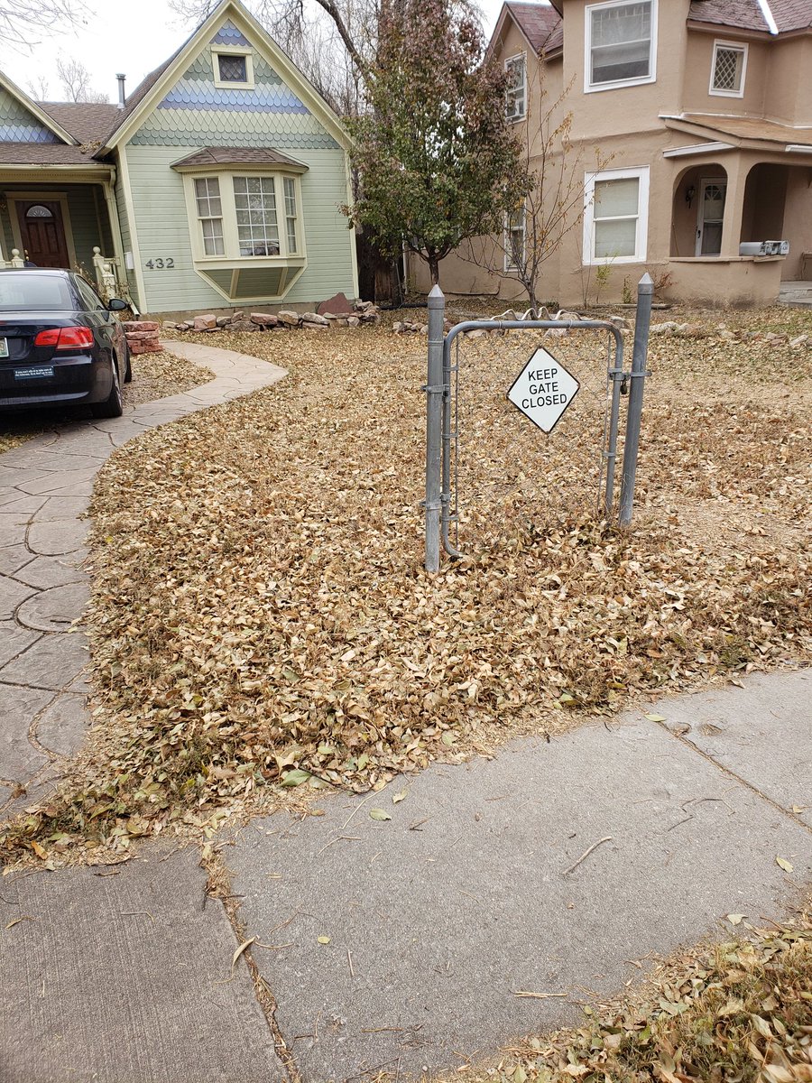 WallTree1's tweet image. One of the things I&apos;ve enjoyed about canvassing is the little treasures you find through the neighborhood. Found this gem knockingnon doors this cold cold morning! VOTE BY NOVEMBER 5! #cssd11 #Elections2019