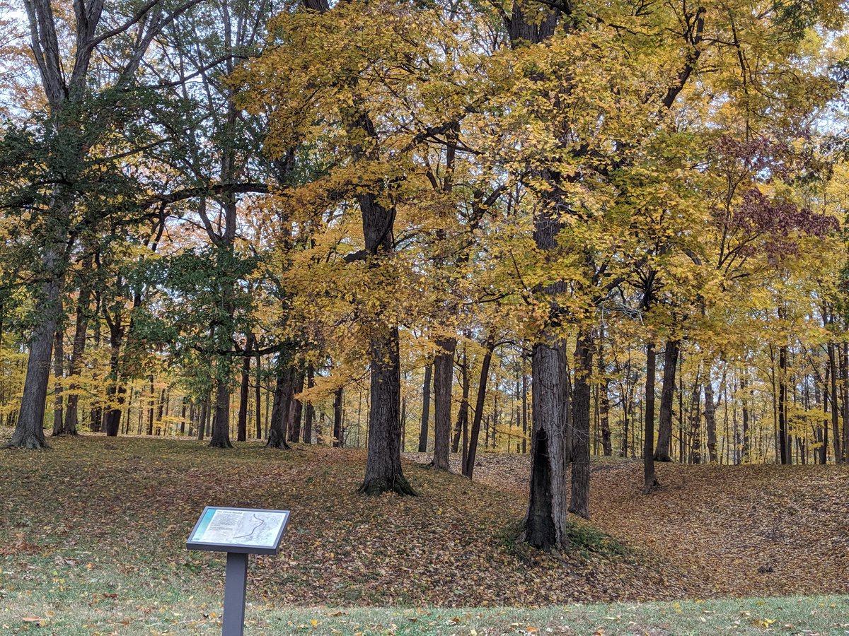 MrJessePruitt's tweet photo. Gorgeous run this morning in Mounds park! It's in all of its fall glory! #RunTheMounds #WheresTheOxygen #Fall https://t.co/d4JLVwsjpI