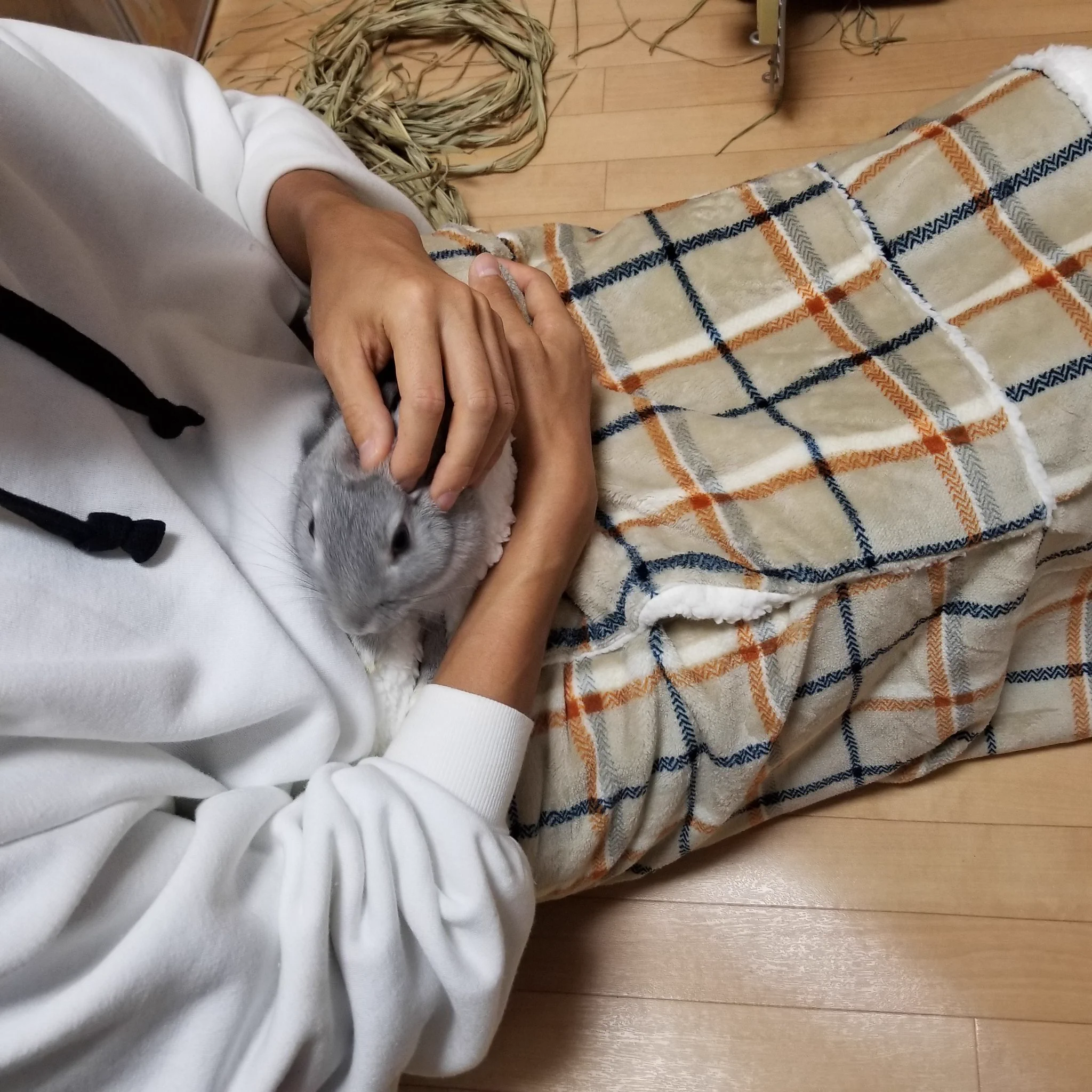 【ペット】あったかいし可愛いし最高のひざ掛けがニトリから販売！
