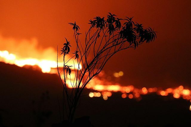 🇷🇪 Volcan la pété 🌋 The most beautiful thing I’ve ever seen! #fournaise #eruption #volcano #magma #fireriver #crater #pitondelafournaise #reunionisland #reunion #picoftheday #picture #pics #canon #canonphotography #nofilter #nofxband <a href="/canonfrance/">Canon France</a> ift.tt/368wS0P