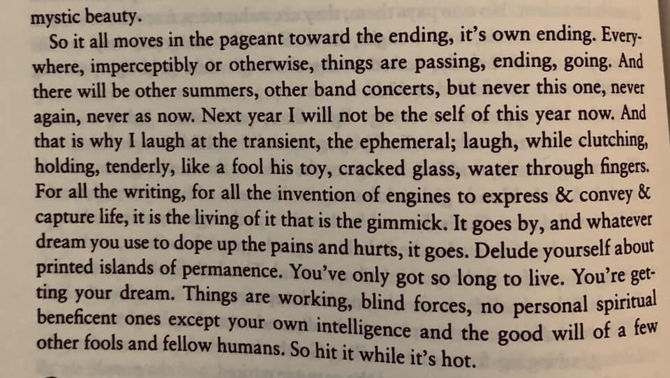 Happy birthday, Sylvia Plath. I think about you all the time. 