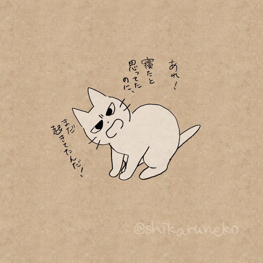 寝る前のスマホいじりがやめられない人と、しかるねこと、あまやかすねこ 