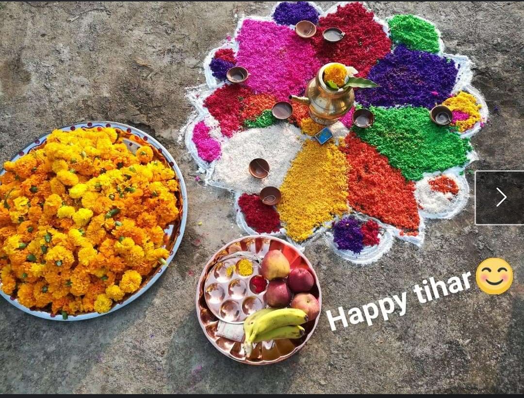 Basan538288's tweet photo. ये चाहि मेरो अलिगती भको ढङो 😂😂 https://t.co/sAEs0lsec0
