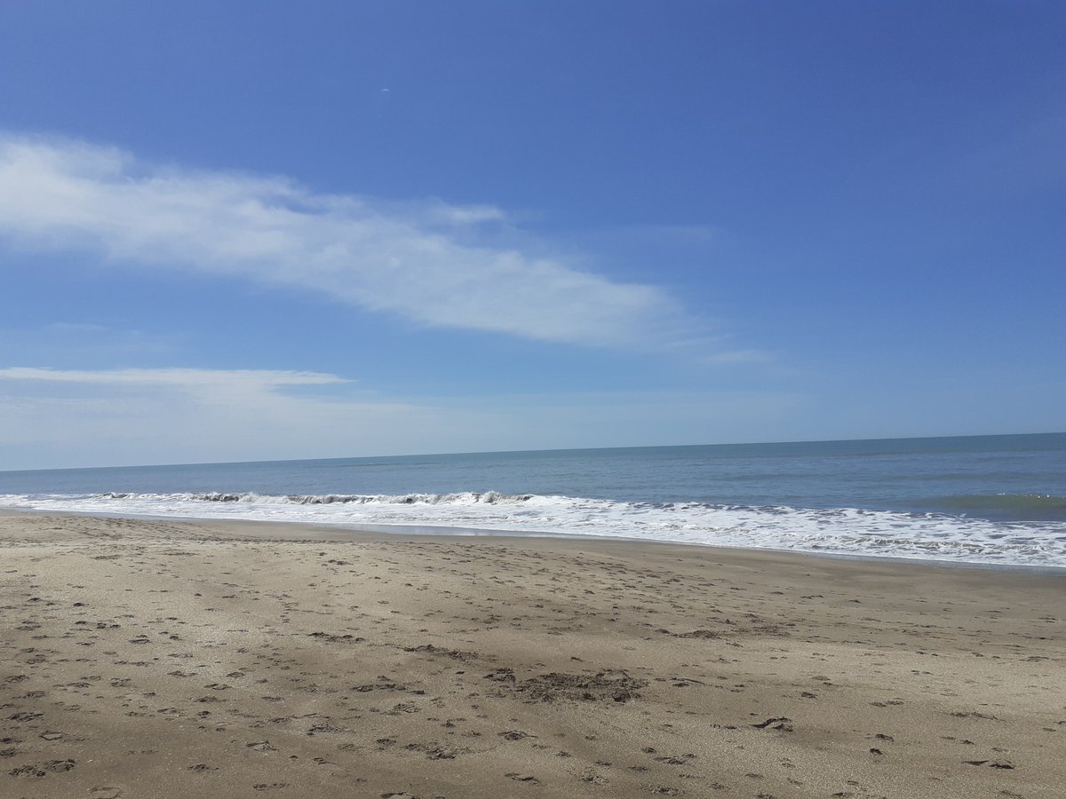 Vengo a votar a Pinamar. Voy a la playa sintonizo <a href="/atoda/">Azumi Toda / 戸田 あずみ</a> costa 98.9 y suena <a href="/maxitrusso/">Maxi Trusso</a> Nothing at all Mejor imposible. Que más puedo pedir? Que gane <a href="/martinyeza/">Martín Yeza</a> y soy feliz!!!.