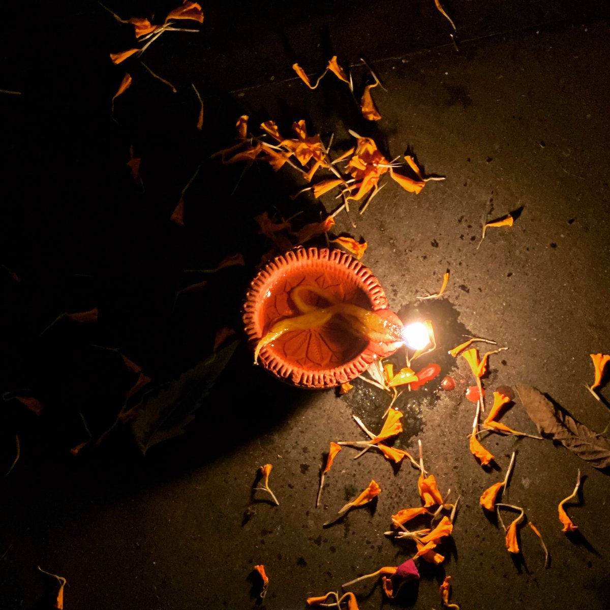 The glimmer of hope on dark nights #WanderingsInDelhi wanderingsindelhi.com