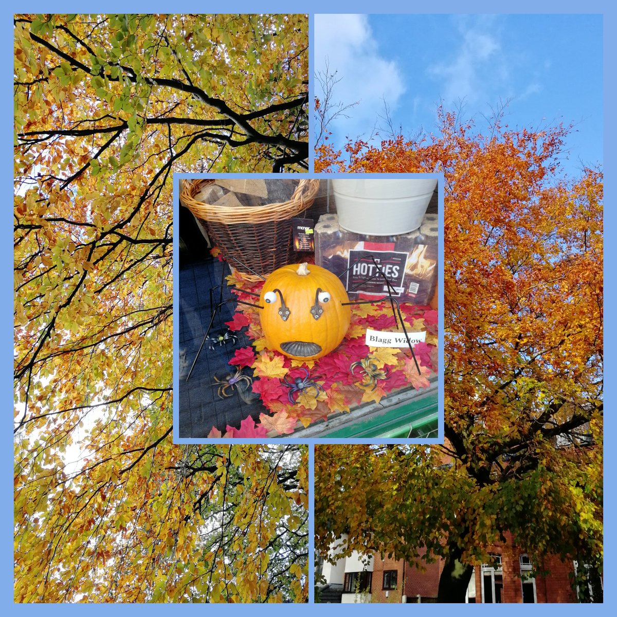 Anna Graves tweet media