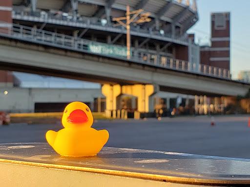 DuckarmyP's tweet image. #duckarmyinvasion