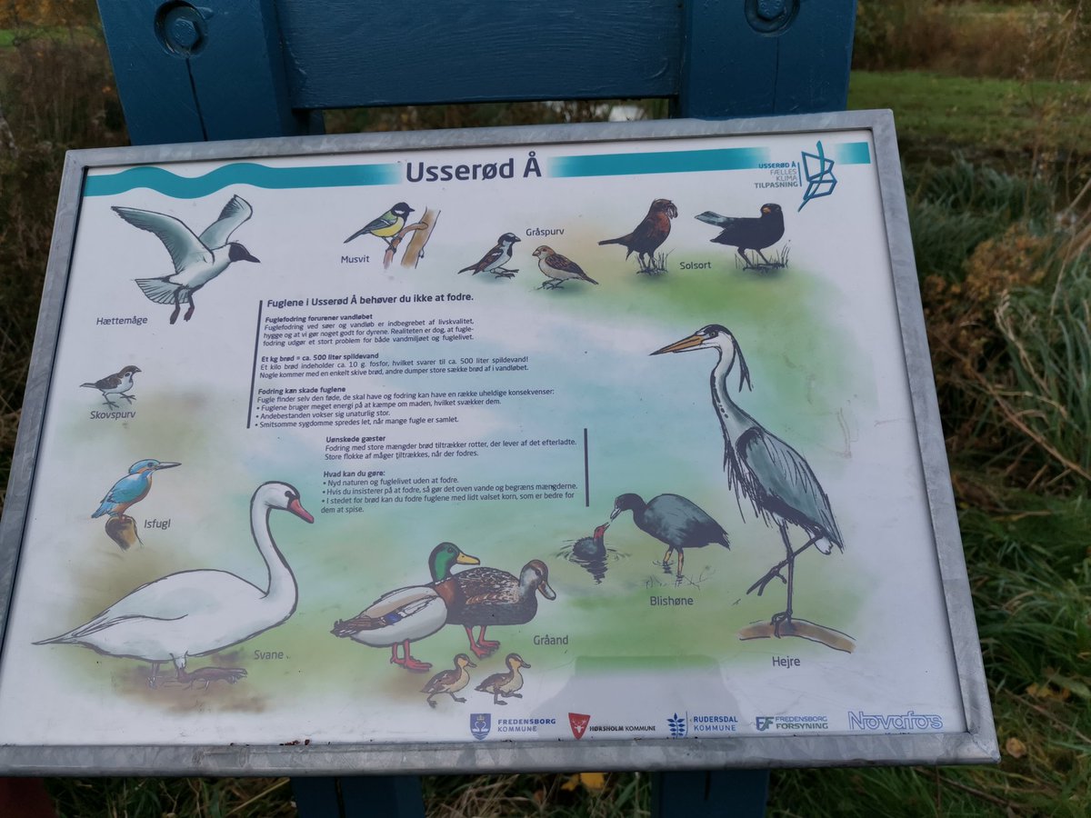 ChrisRyallTGS's tweet image. #properEnglish we&apos;ve tidied our rooms and now for a Sunday afternoon walk! #happiness @tgschool