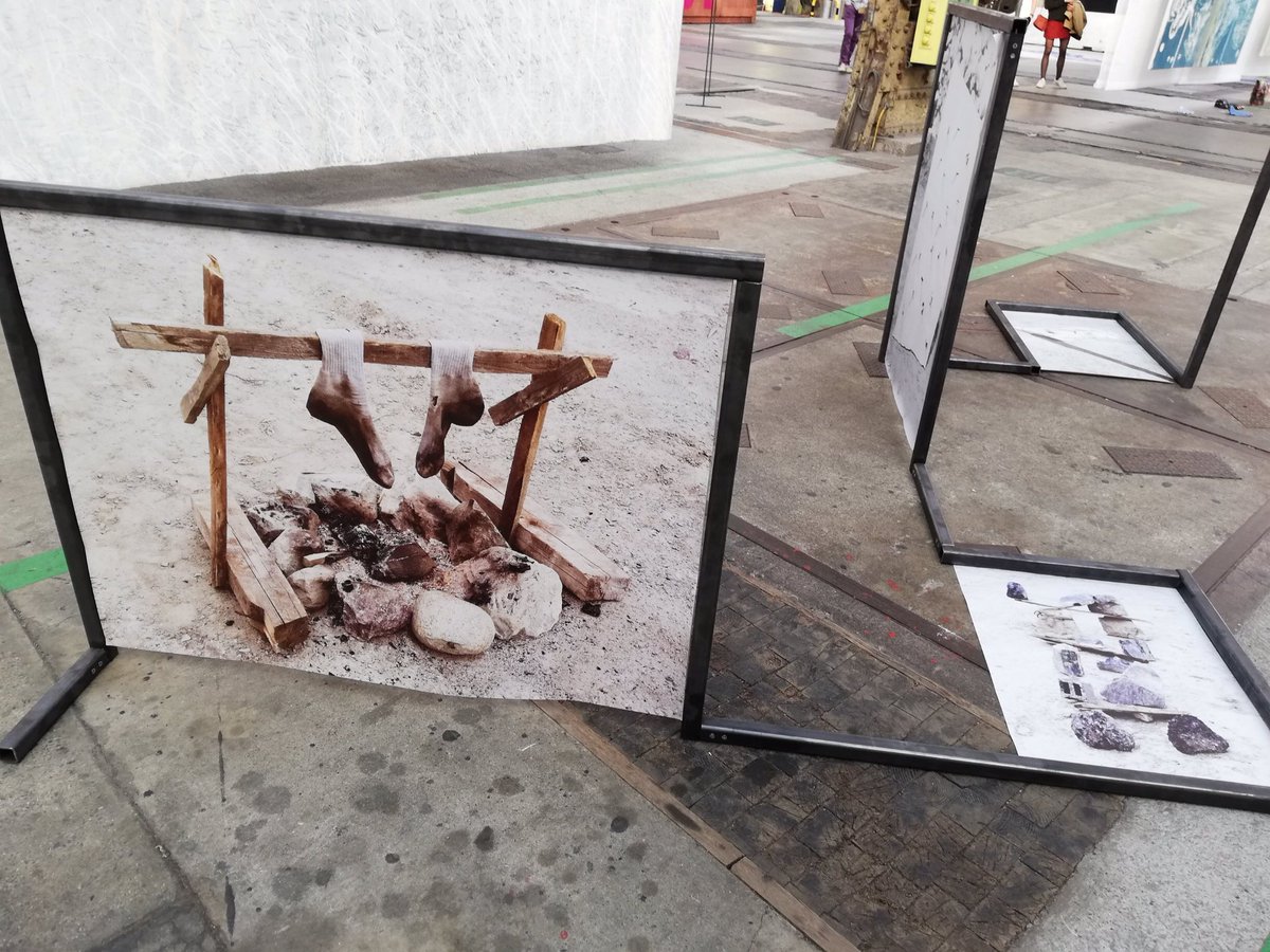 hmuellerschnegg tweet media