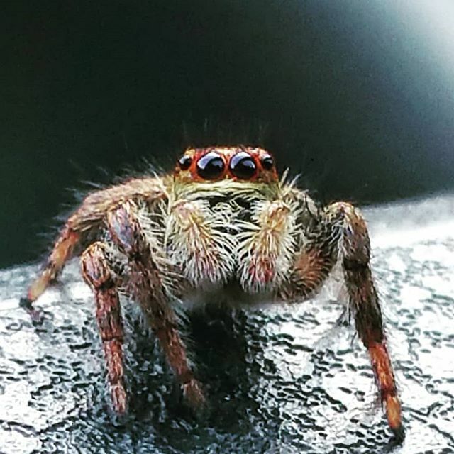 Ola que ase! ift.tt/2BSBytD