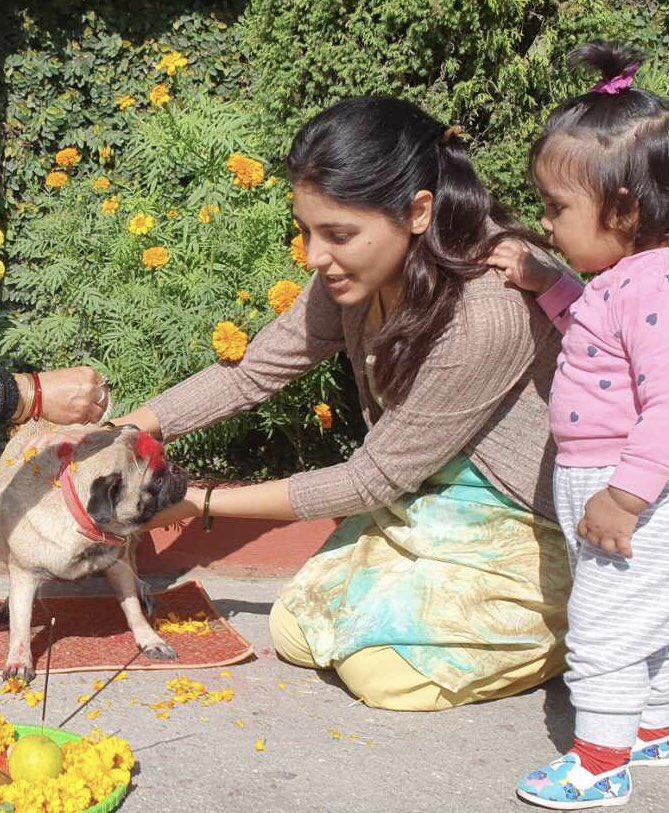 Shalini tweet media