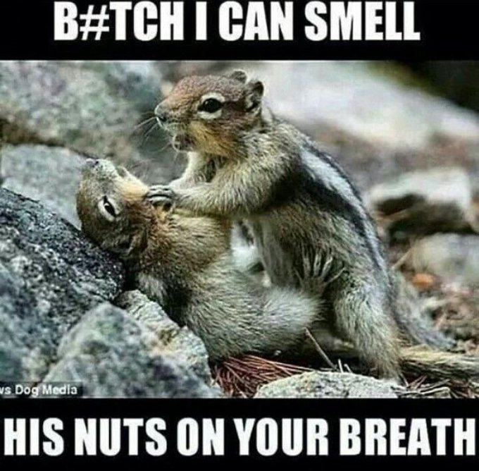 oh god, I have no idea why I find this so funny, but it just tickled me!🤣🤣🤣 https://t.co/0NAv2V2feg<a href="/tag/thursdaythoughts"class="tags"><span>#thursdaythoughts</span></a>