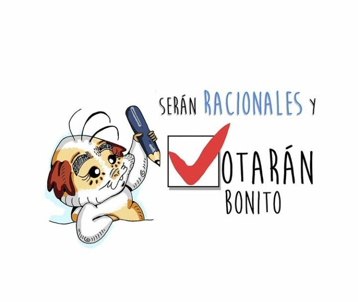 MartinezPasto's tweet photo. @RadNalCo @Jamon_Salve  saludos desde Pasto, bonita música, bonita forma de pasar el domingo electoral. Un abrazo https://t.co/f1JuZjwvGr