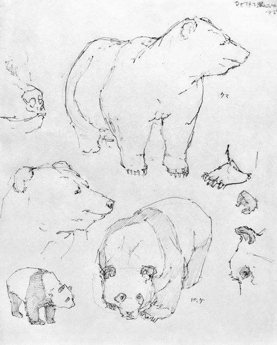 #下田スケッチ会
国立科学博物館、剥製の展示が迫力ありました。色々描けて楽しかったです! 