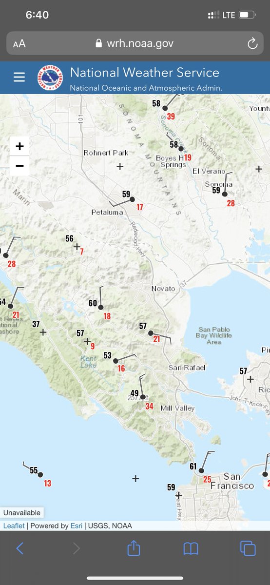 karinbash's tweet photo. @DrTerriDaniel1 Exactly. Wind speeds below as of this am. I see gusts. My patio umbrella is knocked over this morning from winds last night in San Rafael. Not to mention the weather service forecasts. I’d rather be in the dark than in flames. Only a spark to become Kincaid or Paradise, RIP 🙏 https://t.co/MYCRrThkGS