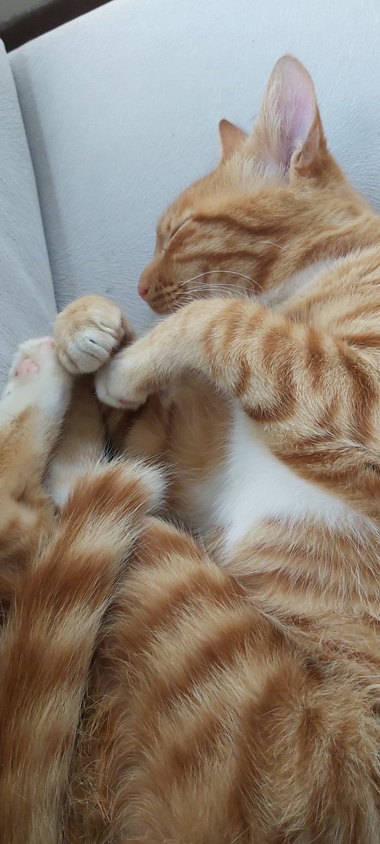 Derslere devamm (@ Beylerbeyi Sanat in İstanbul) swarmapp.com/c/7XKTMK6LFp5