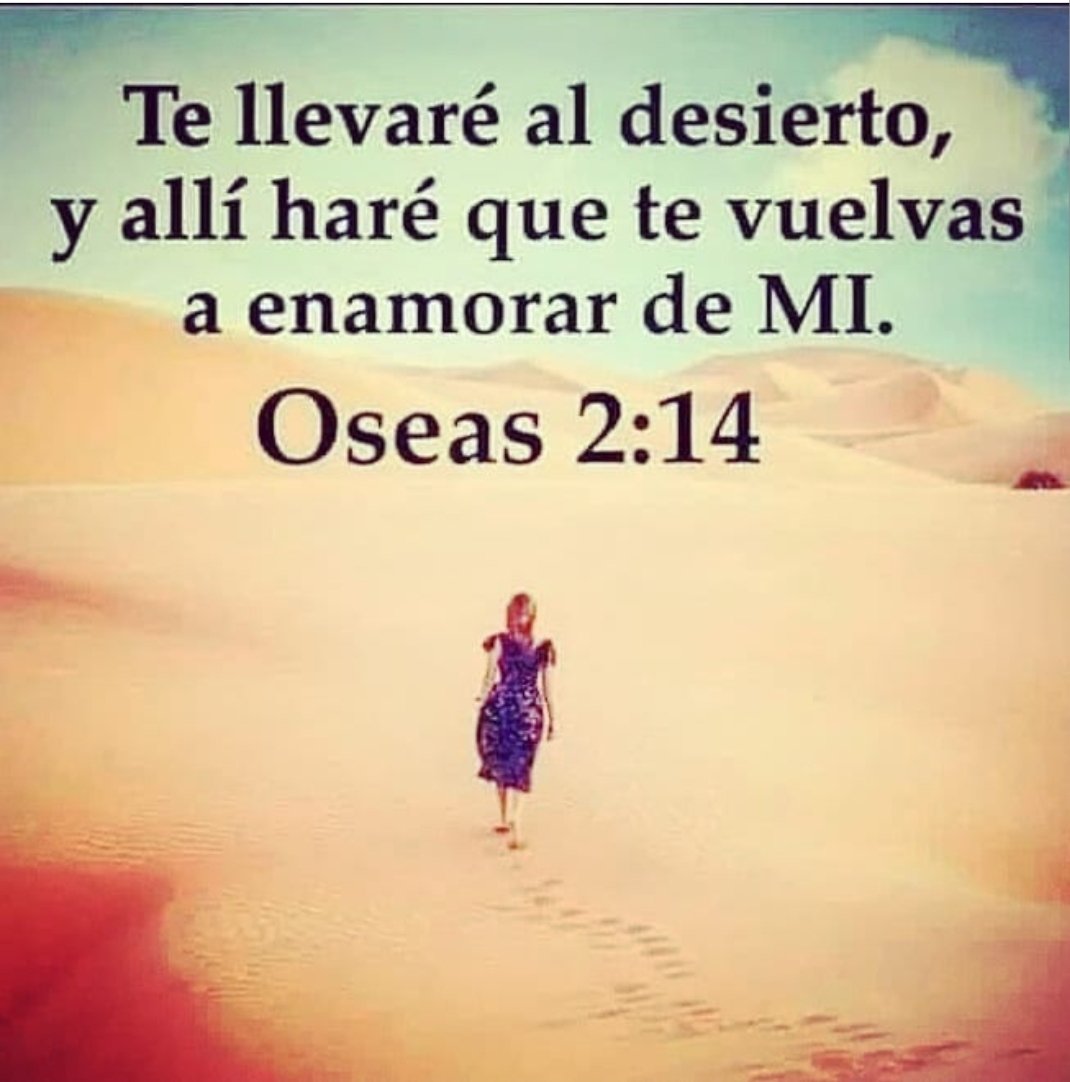 Dios_a_mi's tweet photo. https://t.co/9e9qL6Ecsi