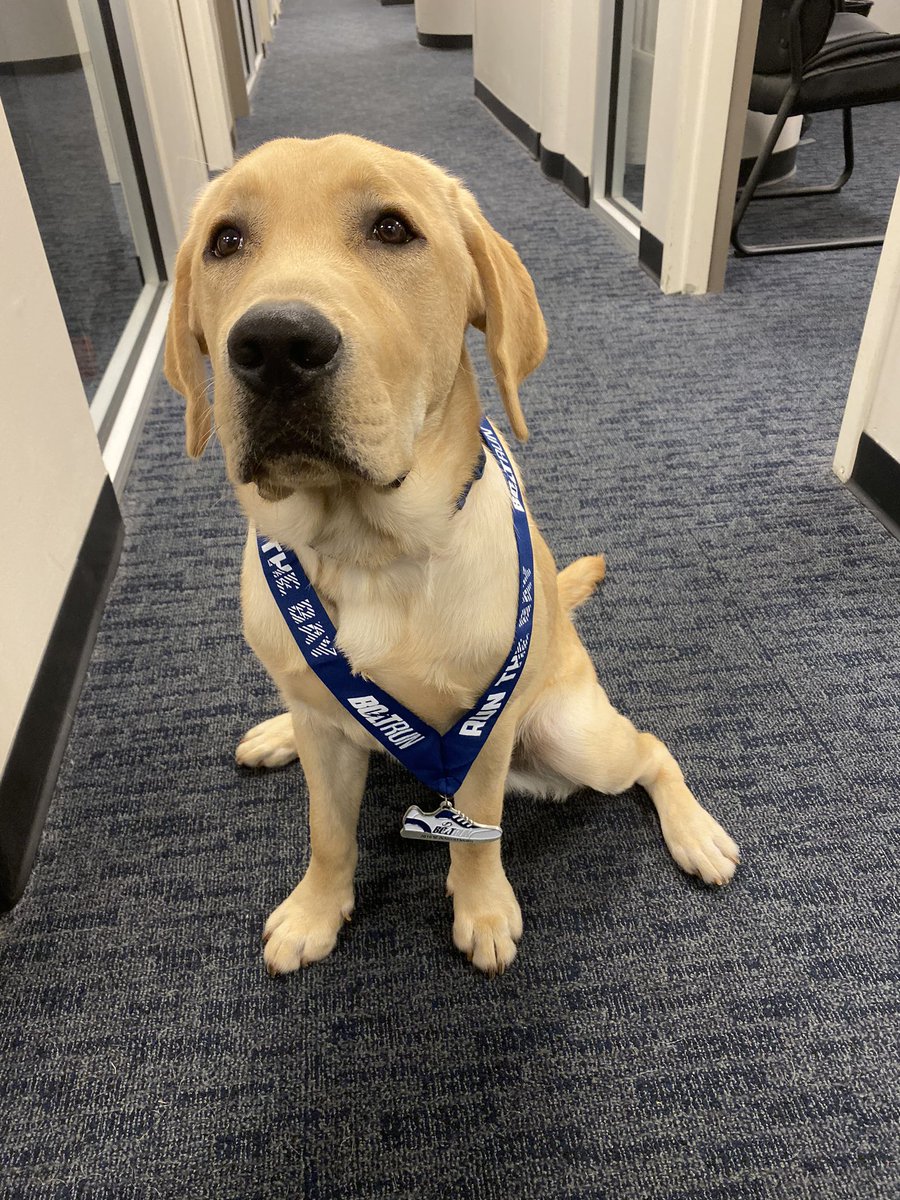 boltspup's tweet photo. I have been informed that this means i won. https://t.co/P28CMIALER