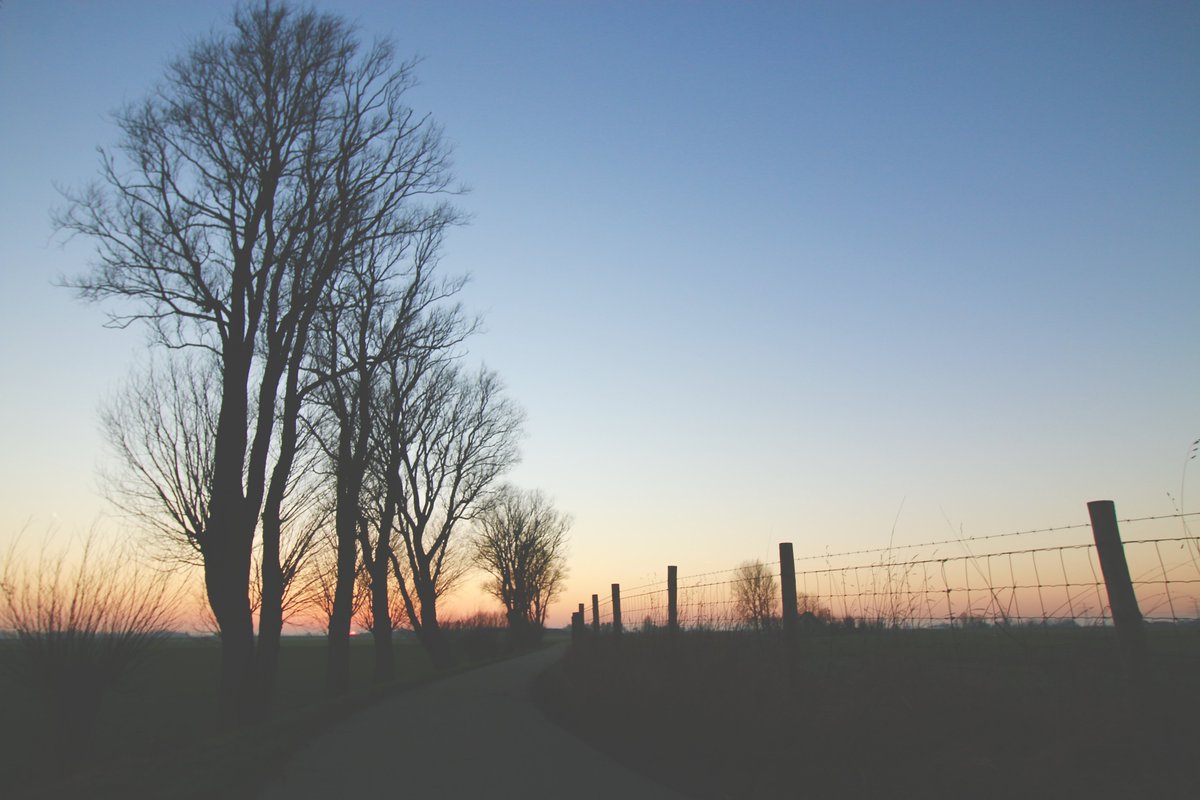 Imagine all the people living life in peace. You may say that I'm a dreamer, but I'm not the only one...
youtu.be/bvFLKyAGzzI