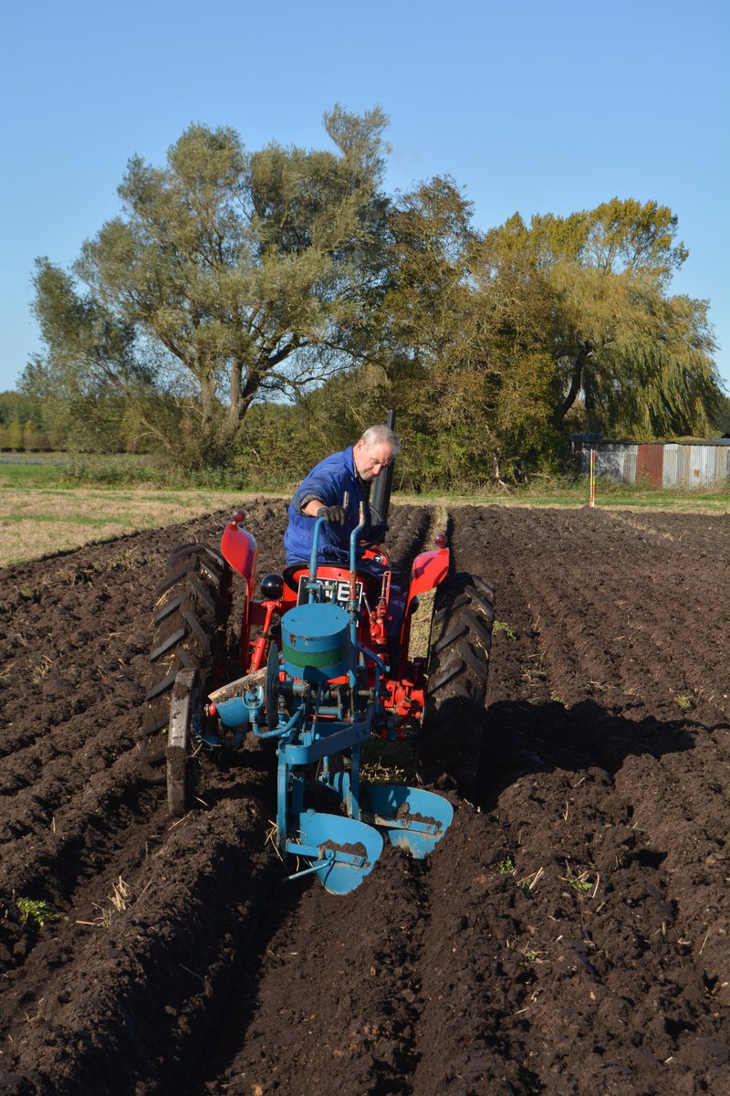 Prickwillow Ploughing competition near Isleham this morning.