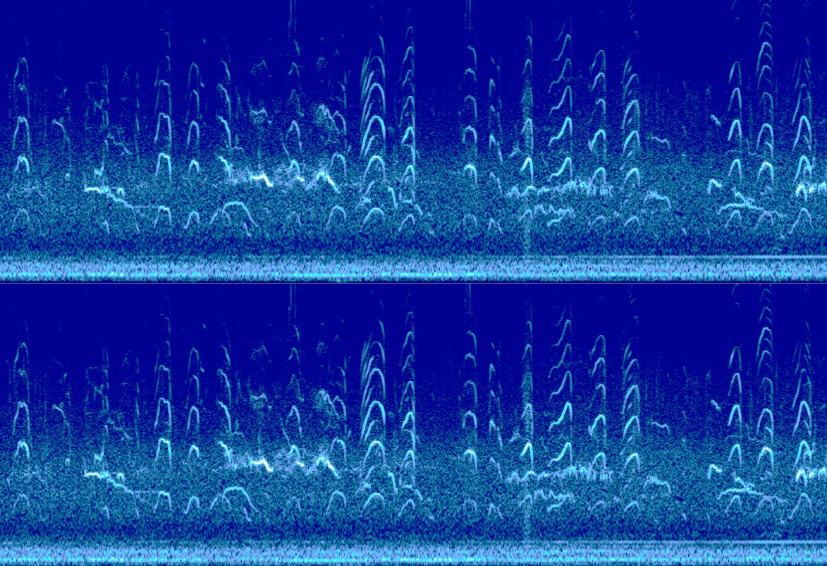 BL Sound Heritage tweet media